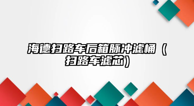 海德掃路車(chē)后箱脈沖濾桶（掃路車(chē)濾芯）