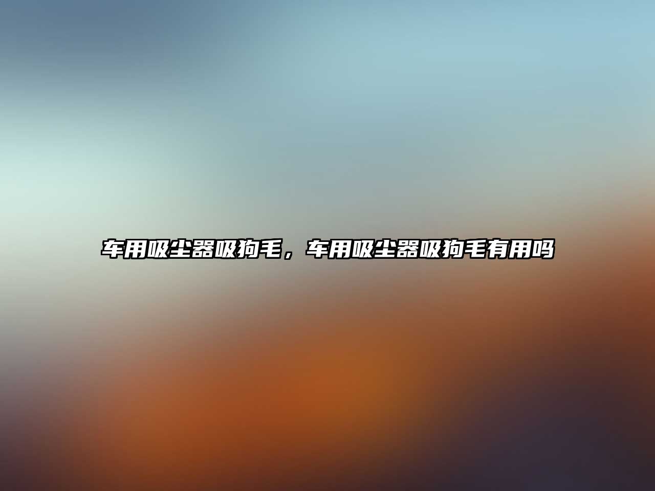 車(chē)用吸塵器吸狗毛，車(chē)用吸塵器吸狗毛有用嗎