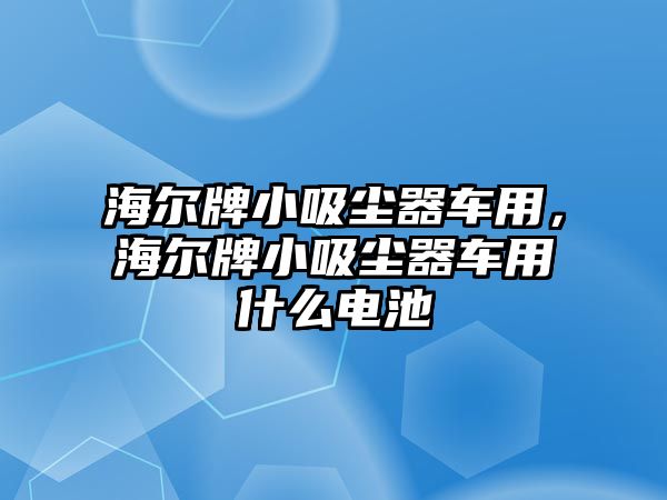 海爾牌小吸塵器車(chē)用，海爾牌小吸塵器車(chē)用什么電池