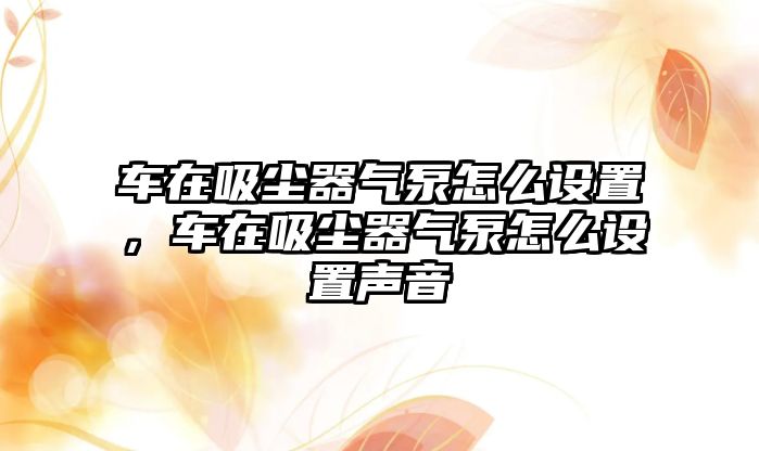 車(chē)在吸塵器氣泵怎么設置，車(chē)在吸塵器氣泵怎么設置聲音