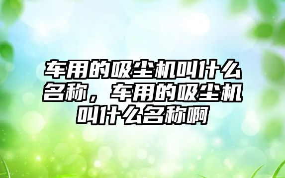 車(chē)用的吸塵機叫什么名稱(chēng)，車(chē)用的吸塵機叫什么名稱(chēng)啊