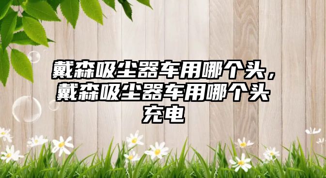 戴森吸塵器車(chē)用哪個(gè)頭，戴森吸塵器車(chē)用哪個(gè)頭充電
