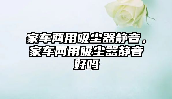 家車(chē)兩用吸塵器靜音，家車(chē)兩用吸塵器靜音好嗎