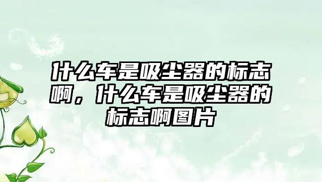 什么車(chē)是吸塵器的標志啊，什么車(chē)是吸塵器的標志啊圖片