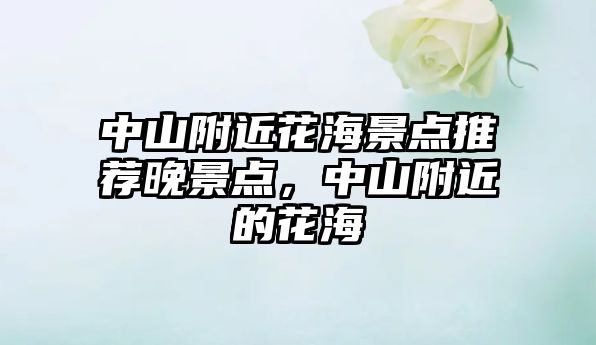 中山附近花海景點(diǎn)推薦晚景點(diǎn)，中山附近的花海