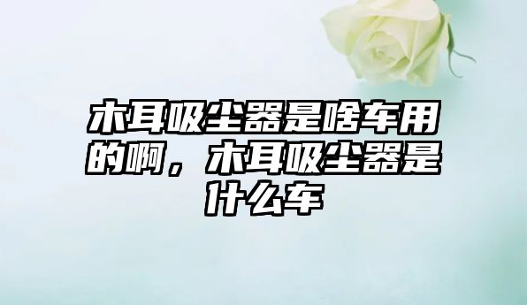 木耳吸塵器是啥車(chē)用的啊，木耳吸塵器是什么車(chē)