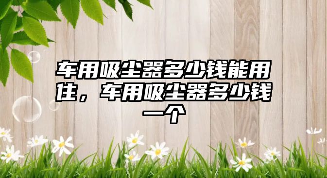 車(chē)用吸塵器多少錢(qián)能用住，車(chē)用吸塵器多少錢(qián)一個(gè)