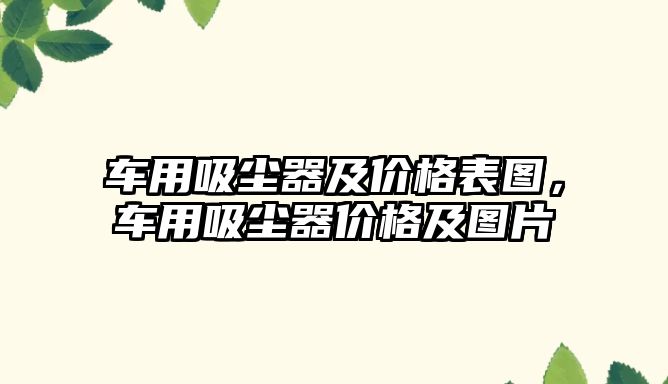 車(chē)用吸塵器及價(jià)格表圖，車(chē)用吸塵器價(jià)格及圖片