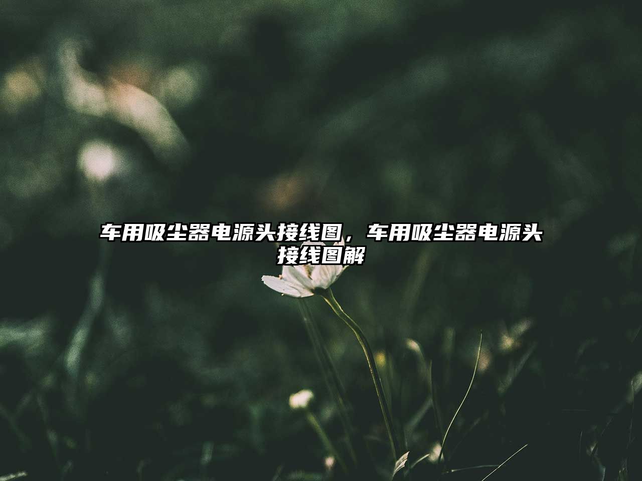車(chē)用吸塵器電源頭接線(xiàn)圖，車(chē)用吸塵器電源頭接線(xiàn)圖解